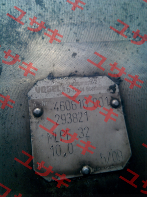 293821 Vogel