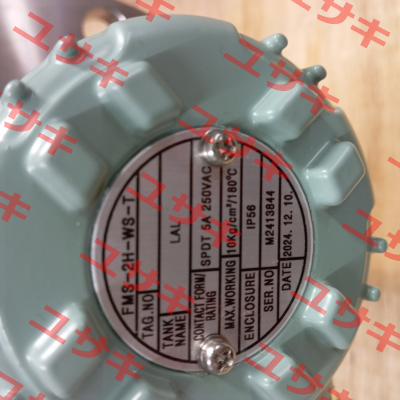 Type FMS-2H-WS-T HANLA LEVEL