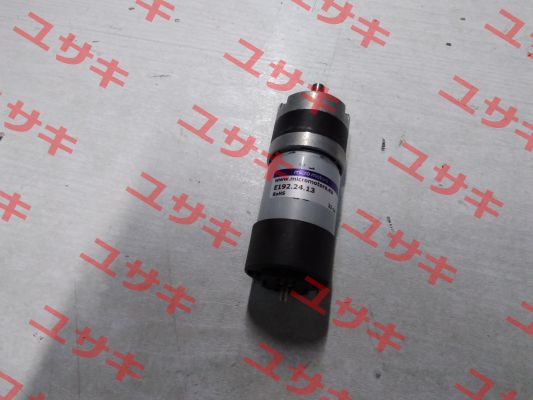 E192.24.13 Micro Motors