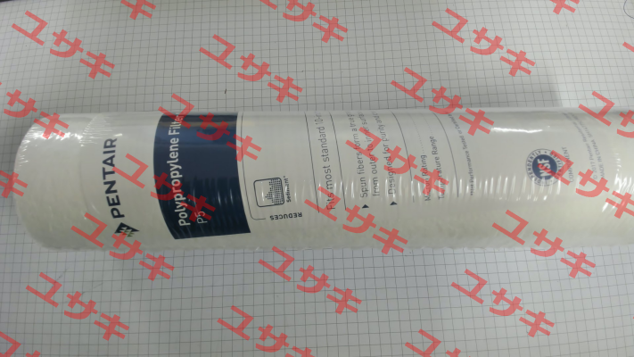 PS5-10 Pentek (Pentair)
