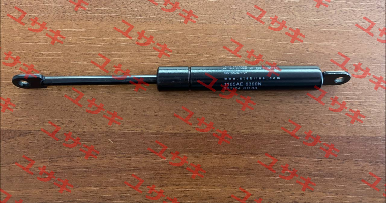 1165AE 0300N 264/04 E 09 Stabilus
