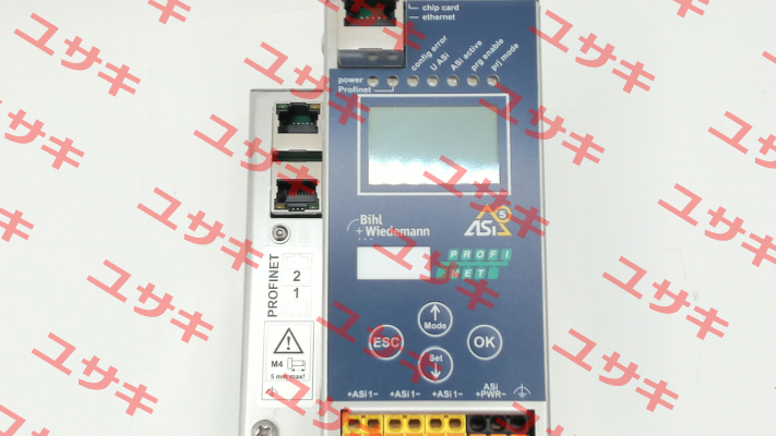 BWU3848 Bihl Wiedemann