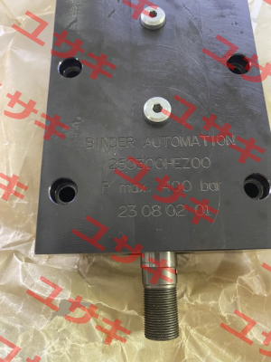 250300-BAZ00 Binder