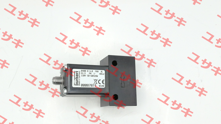 00087874 Burkert