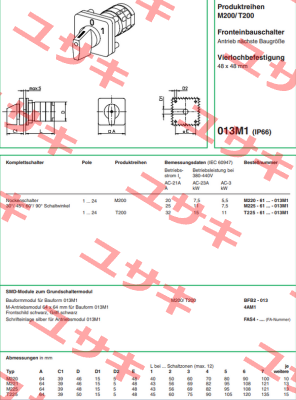 M220-61325D-013M1 Salzer