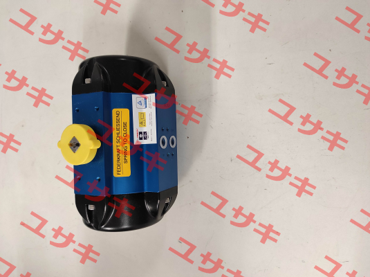 BR03-SAF / 166705 AMG Pesch