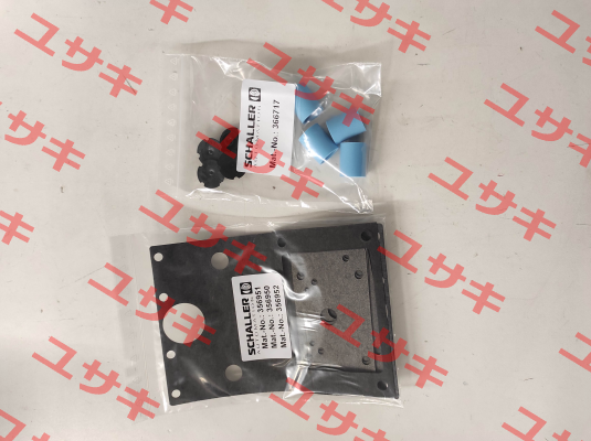 155006 Schaller Automation