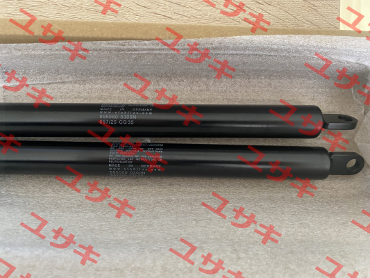 095060 Stabilus