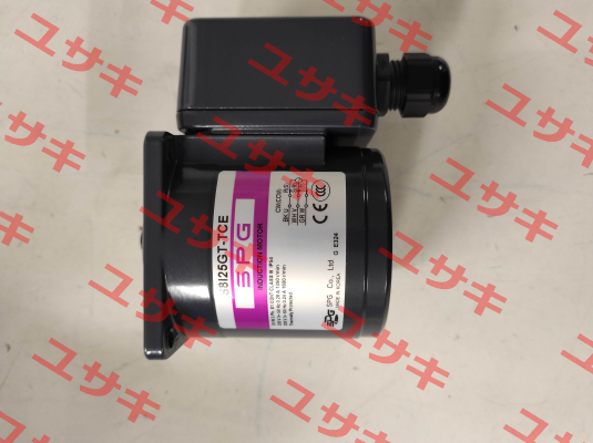 SPG S8I25GT-TCE Spg Motor