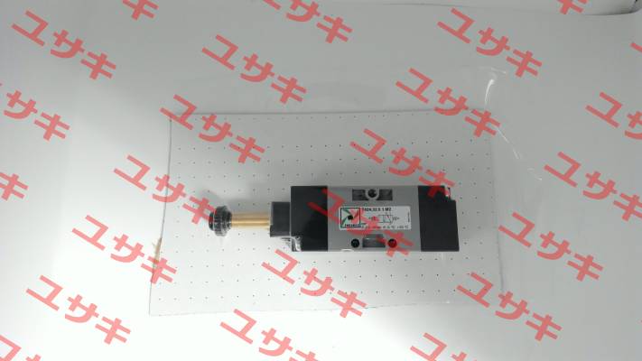 T424.32.0.1.M2 Pneumax