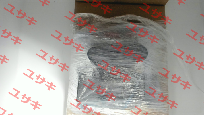 WE255-4R100Z24/0H Voith