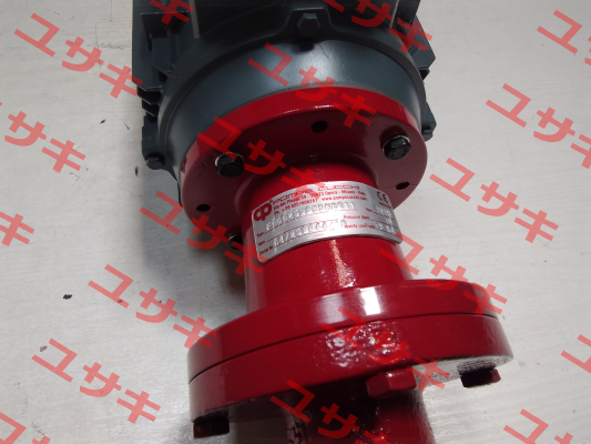 F0G025W0CDNB011 POMPE CUCCHI SRL