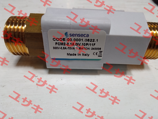 FCM2-2.15.GV.10P/11F Valco