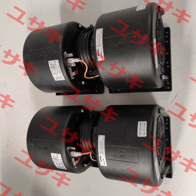 015-B46-22 24V GR RP SPAL
