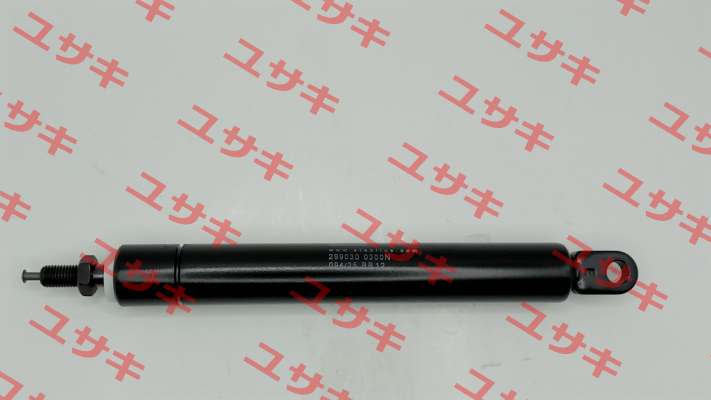 299030 Stabilus