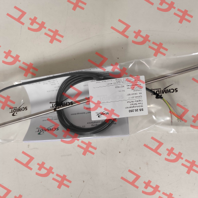 SS 20.250 SCHMIDT Technology