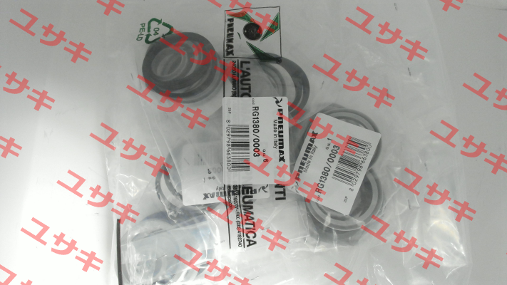 RG1380/0003 Pneumax