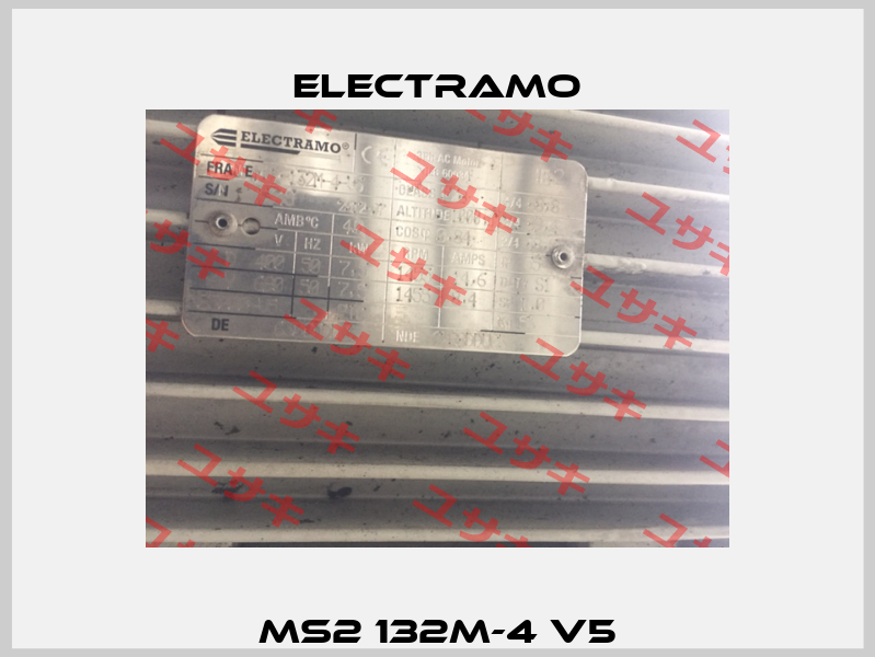 MS2 132M-4 V5 Electramo