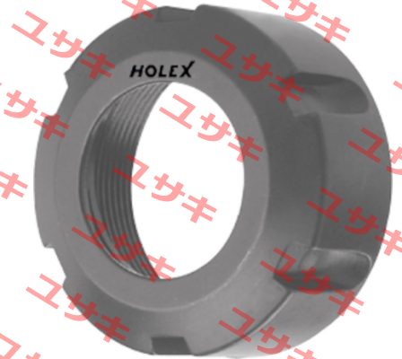 309580 32 Holex