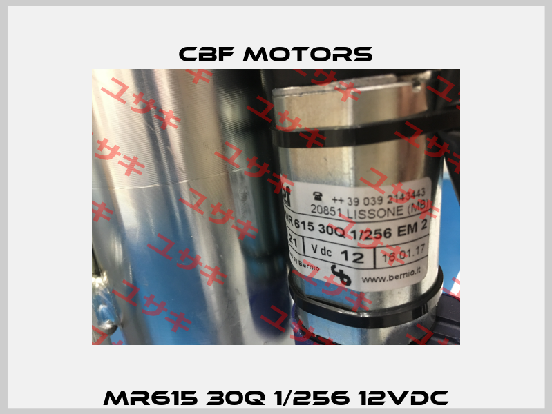 MR615 30Q 1/256 12VDC Cbf Motors