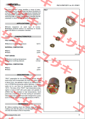 4PSLT  ESA Pyronics International