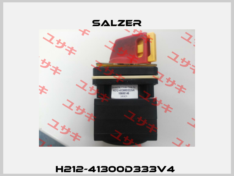 H212-41300D333V4  Salzer