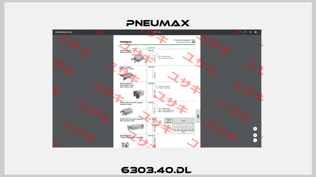 6303.40.DL  Pneumax