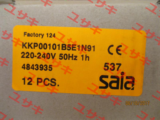 KKP00101B5E1N91  Saia-Burgess