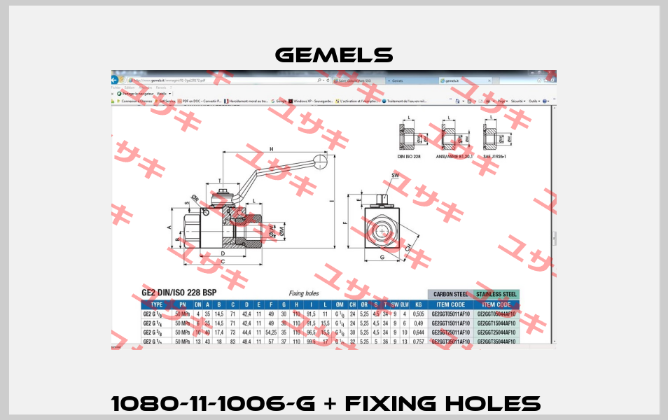 1080-11-1006-G + Fixing holes   Gemels