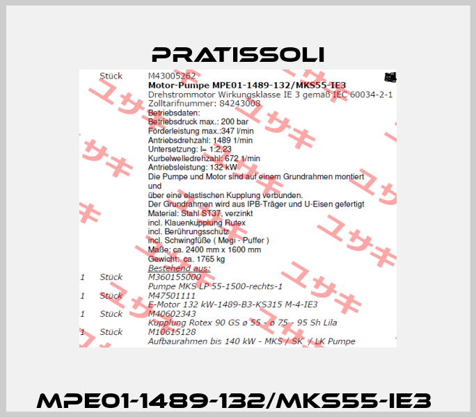 MPE01-1489-132/MKS55-IE3  Pratissoli