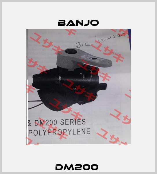 DM200  Banjo