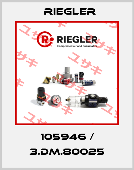 105946 / 3.DM.80025 Riegler