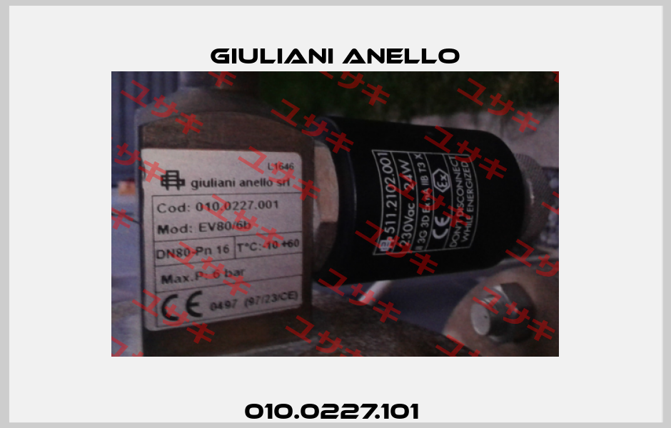 010.0227.101  Giuliani Anello
