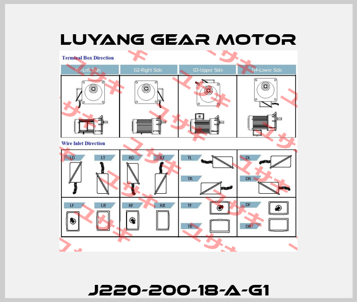 J220-200-18-A-G1 Luyang Gear Motor