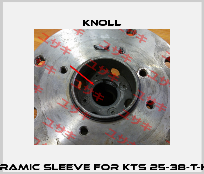 Ceramic sleeve for KTS 25-38-T-KB  KNOLL