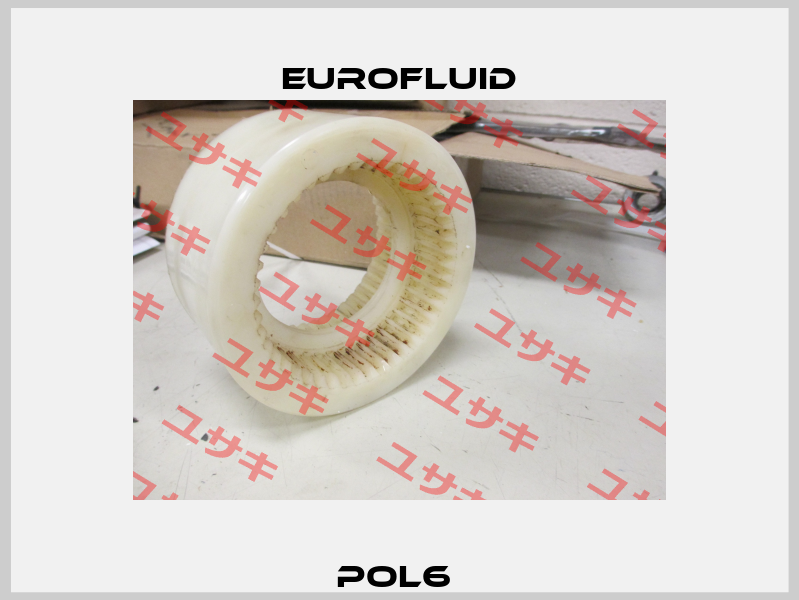 POL6  Eurofluid