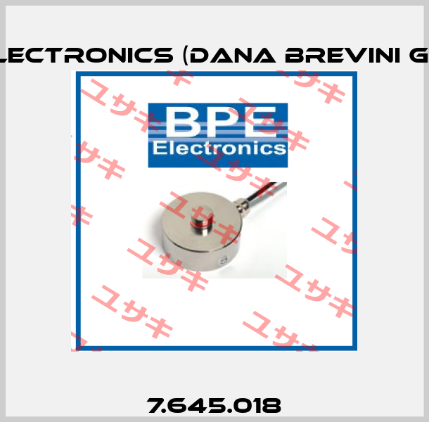 7.645.018 BPE Electronics (Dana Brevini Group)