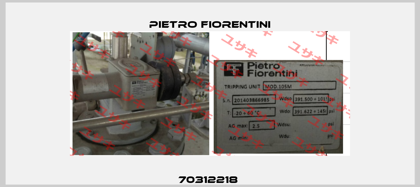70312218  Pietro Fiorentini