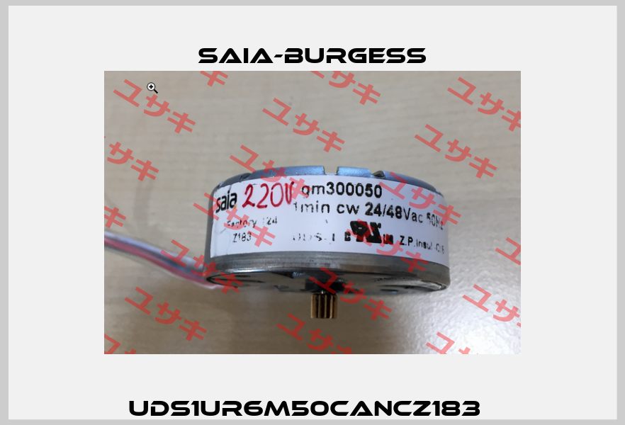 UDS1UR6M50CANCZ183   Saia-Burgess