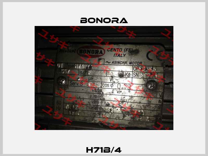 H71B/4 Bonora