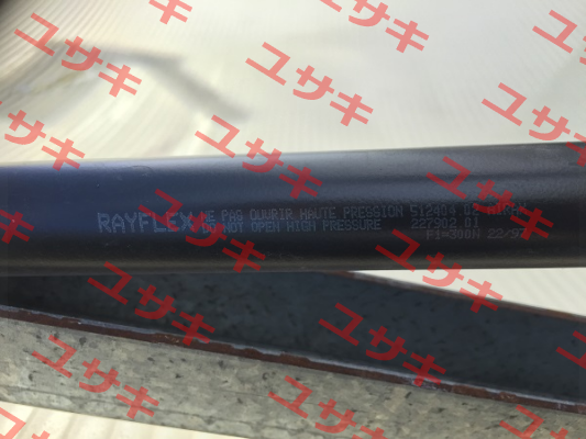 512404   Rayflex