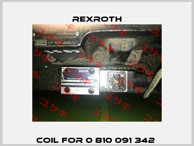 coil for 0 810 091 342  Rexroth