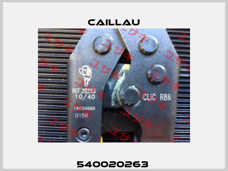 540020263  Caillau
