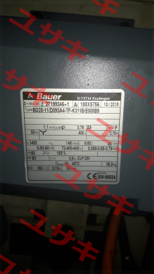 BG20-11/D09SA4-TF-K311B/E008B9  Bauer