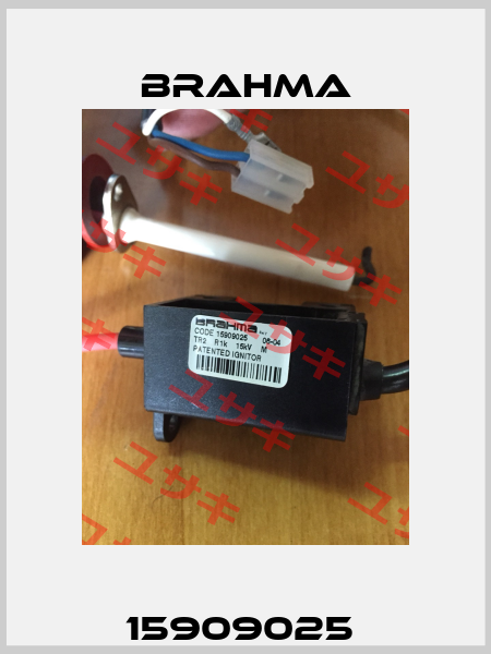 15909025  Brahma