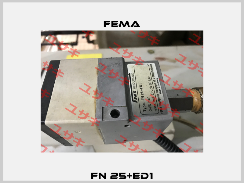 FN 25+ED1 FEMA