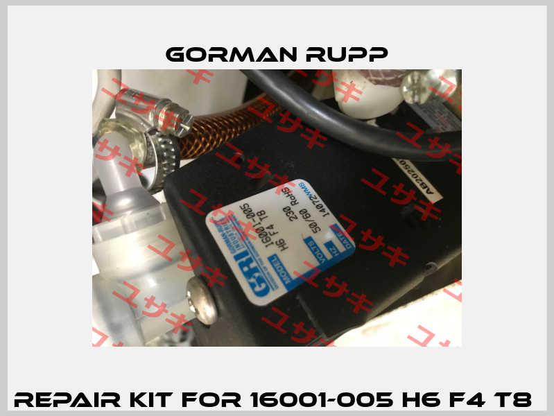repair kit for 16001-005 H6 F4 T8  Gorman Rupp