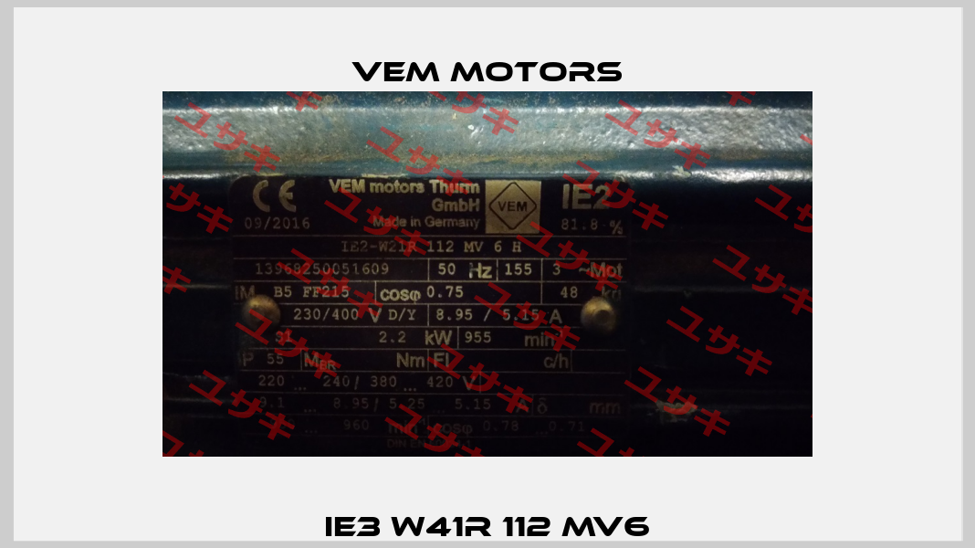 IE3 W41R 112 MV6 Vem Motors