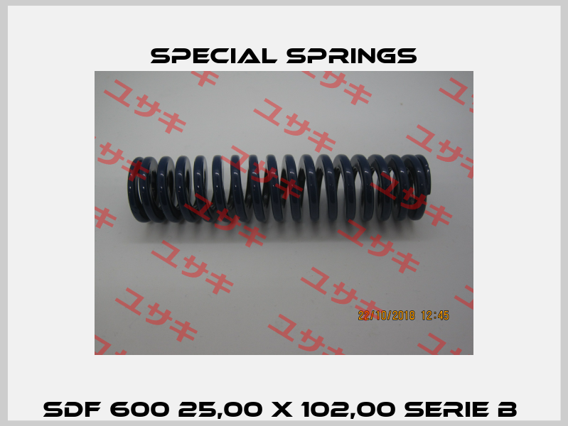 SDF 600 25,00 X 102,00 SERIE B  Special Springs