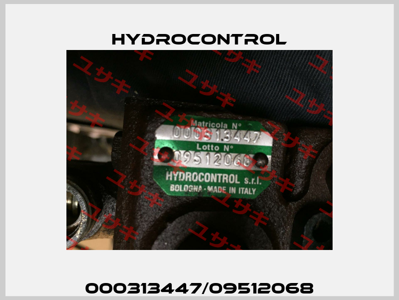 000313447/09512068 Hydrocontrol